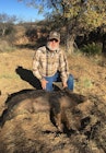 hog from floyd county