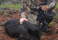 First time hog hunting!