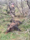 1st pig hunt