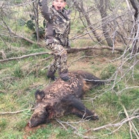 1st pig hunt