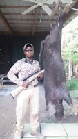 I never hunt wild hog before new to Florida from up north had a lot of deer hunts in my life now moved up to the hog game. Shot my first one in Naples Florida <br />Dropped my hog at 95 yards wit a 308 Winchester had a blast