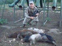Dropped 3 hogs within 30 mins. Using the Game Alert Stealth kit. Hunting a main Bulk feeder on the ranch, the hogs rolled in about 3a.m. There were 6 in the group after dropping the third one a thunderstorm rolled in never had the oppty. To see if the others would have returned. Went dark after each shot within 10 minutes or so the group would return. It was a great hunt.