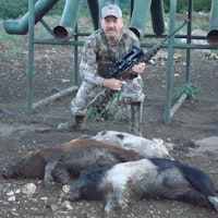 Dropped 3 hogs within 30 mins. Using the Game Alert Stealth kit. Hunting a main Bulk feeder on the ranch, the hogs rolled in about 3a.m. There were 6 in the group after dropping the third one a thunderstorm rolled in never had the oppty. To see if the others would have returned. Went dark after each shot within 10 minutes or so the group would return. It was a great hunt.